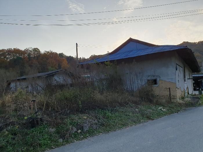 경상북도 김천시 감문면 금곡리 951 답 경매 사진 14