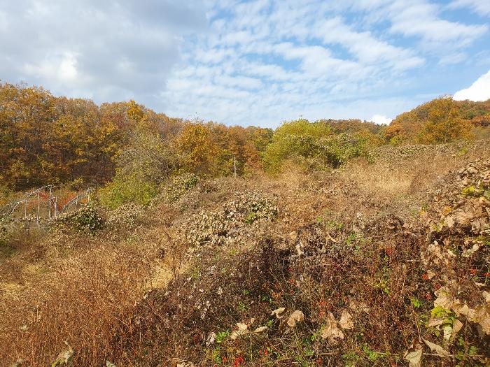 경상북도 김천시 감문면 금곡리 951 답 경매 사진 16
