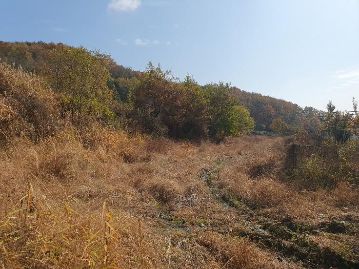 경상북도 김천시 감문면 금곡리 951 답 경매 사진 17
