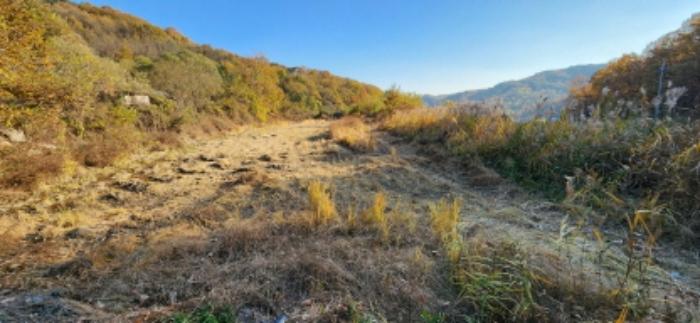 경상북도 김천시 감문면 금곡리 951 답 경매 사진 32