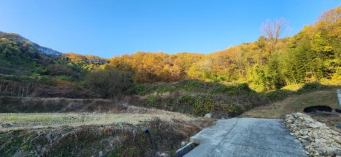 경상북도 김천시 감문면 금곡리 951 답 경매 사진 36