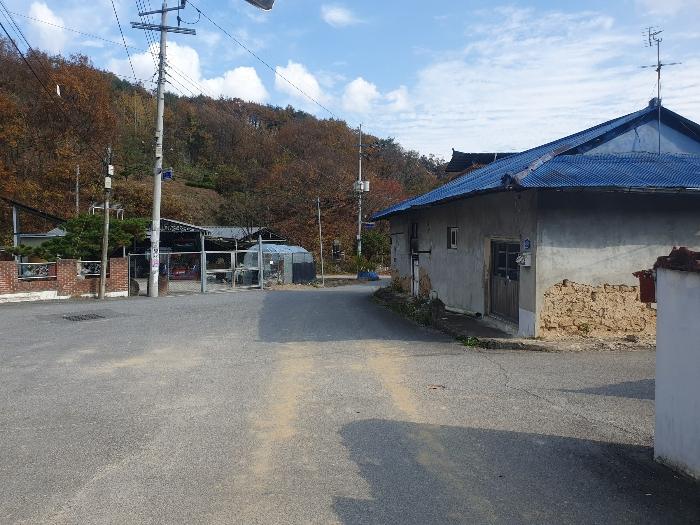 경상북도 김천시 감문면 금곡리 951 답 경매 사진 9
