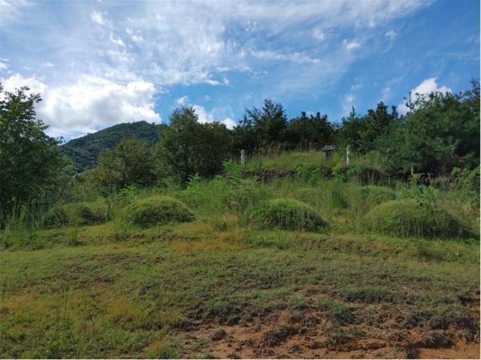 경상남도 함양군 지곡면 보산리 1145-5 과수원 경매 사진 11