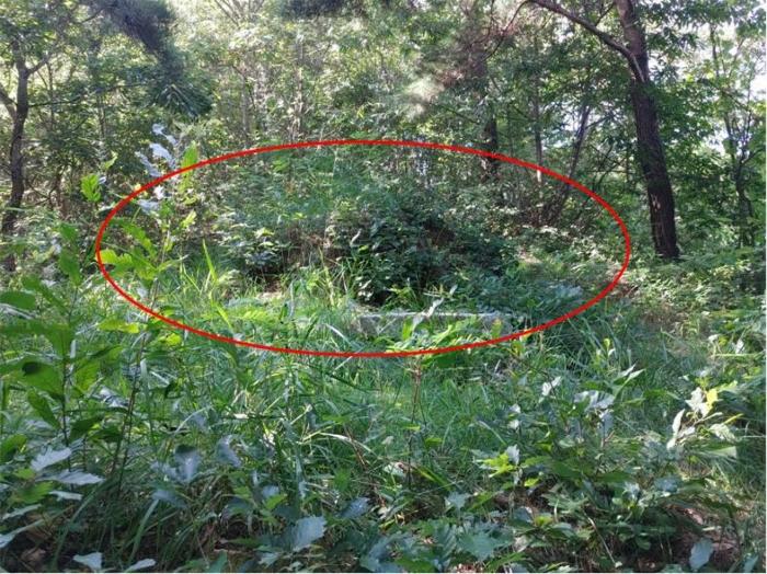경상남도 함양군 지곡면 보산리 1145-5 과수원 경매 사진 18