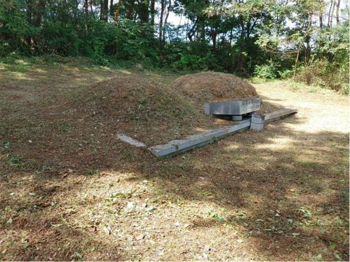 경상남도 함양군 지곡면 보산리 1145-5 과수원 경매 사진 21