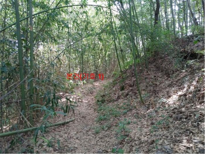 경상남도 함양군 지곡면 보산리 1145-5 과수원 경매 사진 22