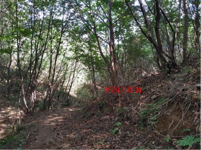 경상남도 함양군 지곡면 보산리 1145-5 과수원 경매 사진 24