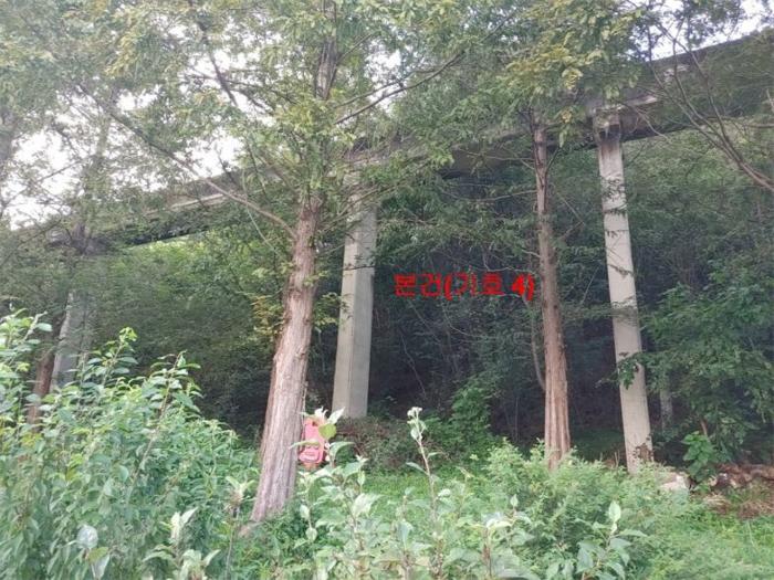 경상남도 함양군 지곡면 보산리 1145-5 과수원 경매 사진 25