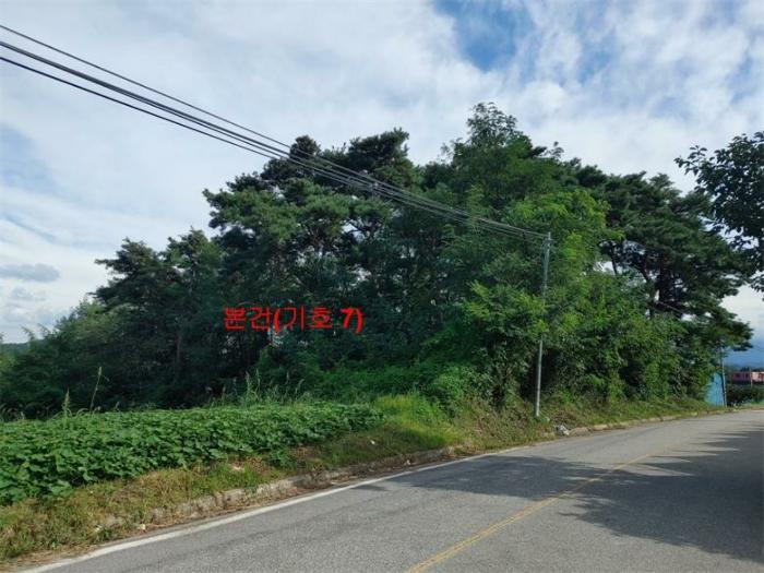 경상남도 함양군 지곡면 보산리 1145-5 과수원 경매 사진 27