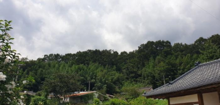 경상남도 함양군 지곡면 보산리 1145-5 과수원 경매 사진 29