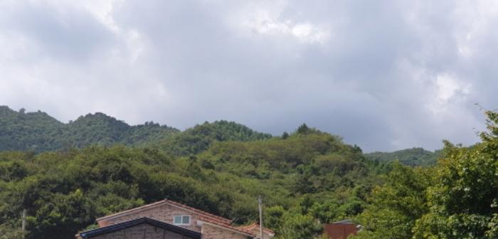 경상남도 함양군 지곡면 보산리 1145-5 과수원 경매 사진 36