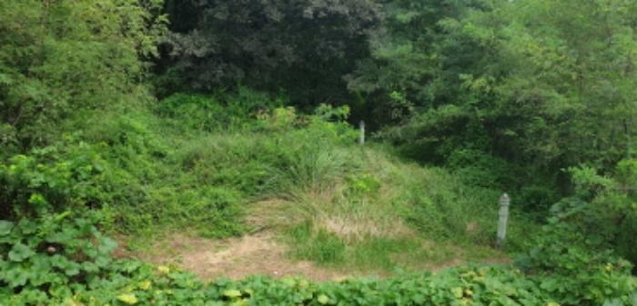 경상남도 함양군 지곡면 보산리 1145-5 과수원 경매 사진 44