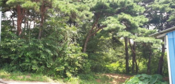 경상남도 함양군 지곡면 보산리 1145-5 과수원 경매 사진 45
