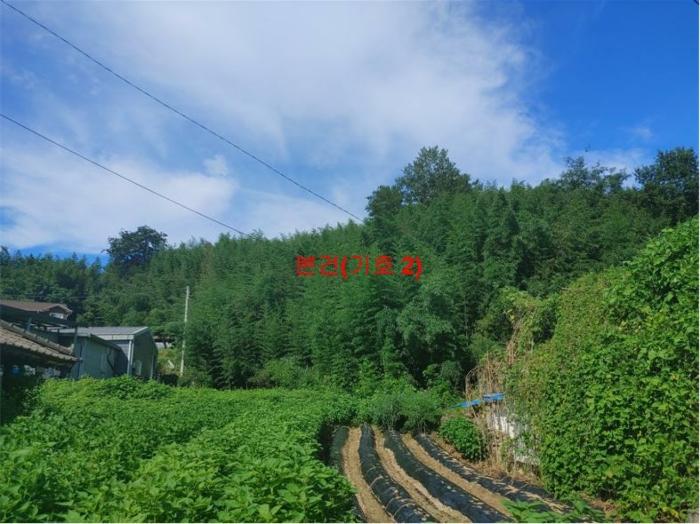 경상남도 함양군 지곡면 보산리 1145-5 과수원 경매 사진 9