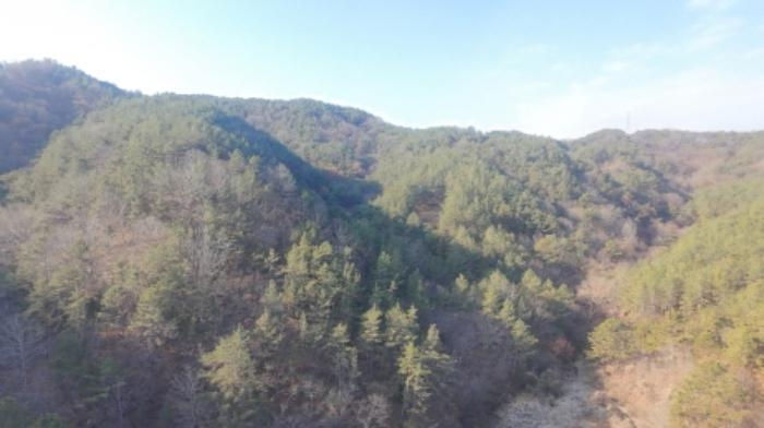 경상남도 합천군 합천읍 금양리 707 전 경매 사진 22
