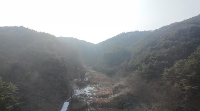 경상남도 거창군 거창읍 서변리 산18-1 임야 경매 사진 2