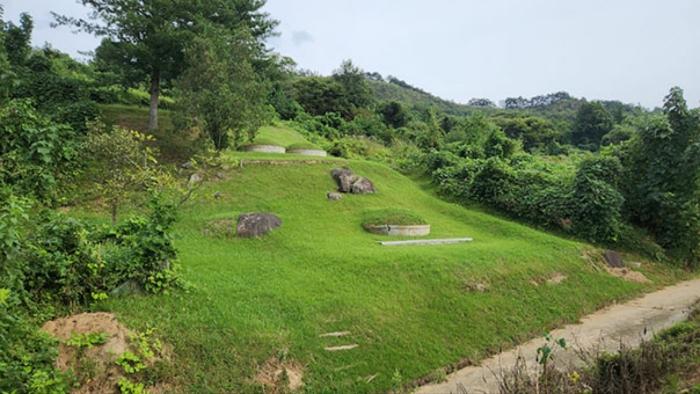 경상남도 합천군 묘산면 관기리 495-3 임야 경매 사진 14
