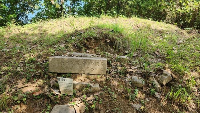 경상남도 합천군 묘산면 관기리 산86 임야 경매 사진 11