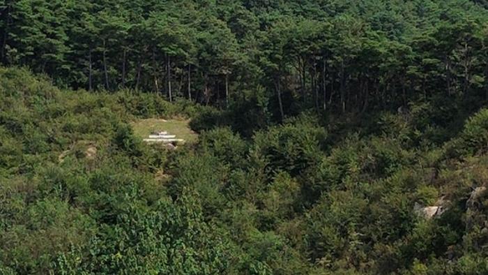 경상남도 합천군 묘산면 관기리 산86 임야 경매 사진 12