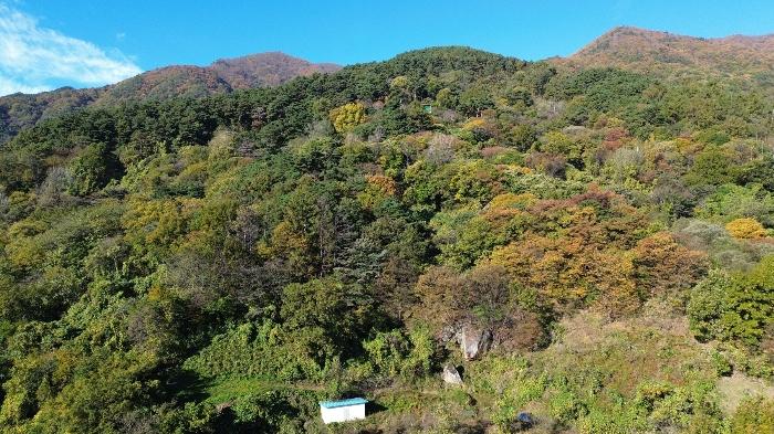 경상남도 함양군 휴천면 문정리 산52-4 임야 경매 사진 1