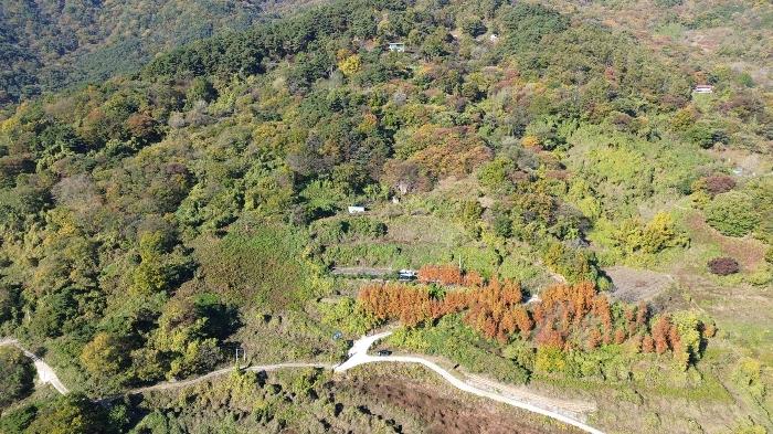 경상남도 함양군 휴천면 문정리 산52-4 임야 경매 사진 4