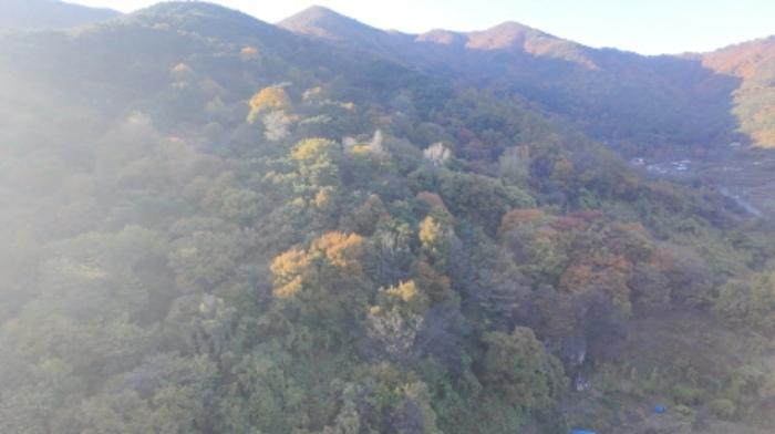 경상남도 함양군 휴천면 문정리 산52-4 임야 경매 사진 5