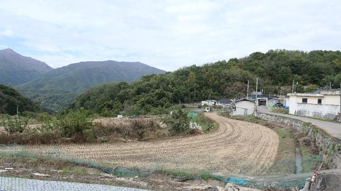 경상남도 합천군 묘산면 가산리 313-2 답 경매 사진 11