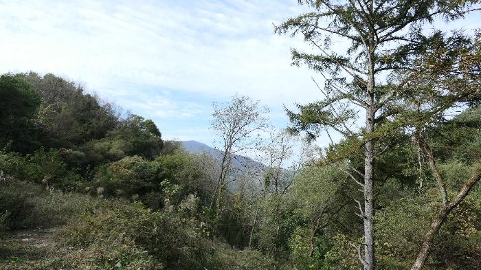 경상남도 합천군 묘산면 가산리 313-2 답 경매 사진 12