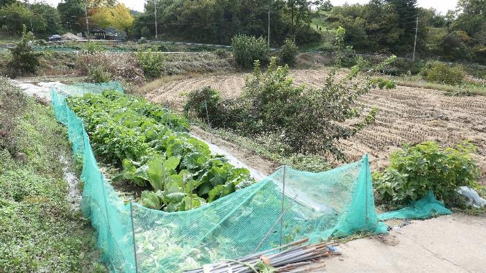 경상남도 합천군 묘산면 가산리 313-2 답 경매 사진 13