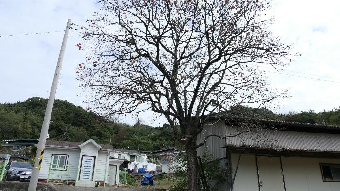경상남도 합천군 묘산면 가산리 313-2 답 경매 사진 17