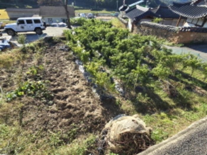 경상남도 합천군 묘산면 가산리 313-2 답 경매 사진 35