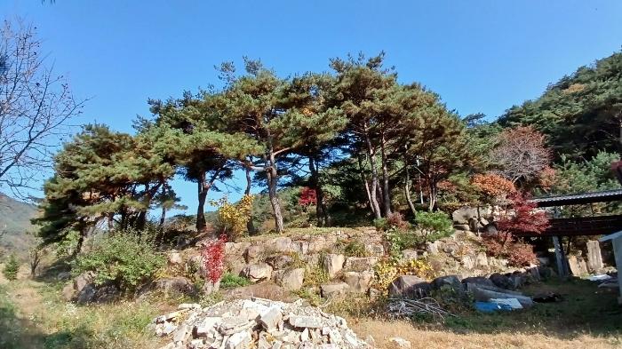 경상남도 거창군 가북면 용산리 927-2 근린주택 경매 사진 27
