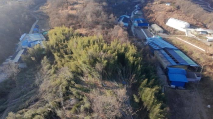 경상남도 합천군 삼가면 소오리 822-10 답 경매 사진 8