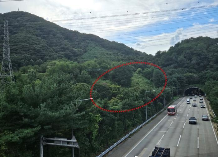 경기도 성남시 분당구 운중동 573-1 임야 경매 사진 1