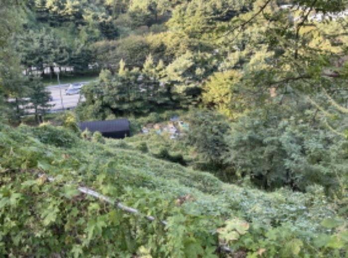 경기도 성남시 분당구 운중동 573-1 임야 경매 사진 13