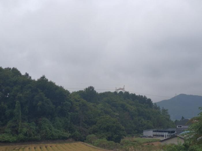 경기도 광주시 곤지암읍 삼합리 221-1 임야 경매 사진 6
