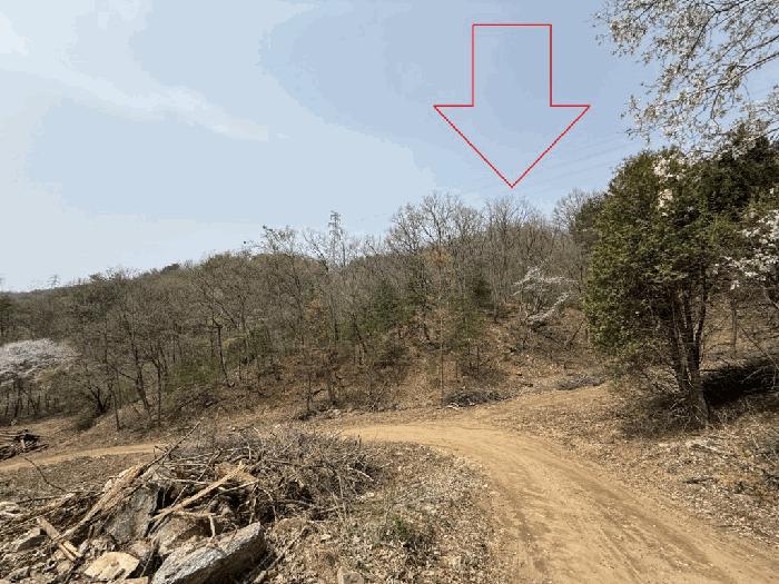 강원특별자치도 춘천시 남면 추곡리 1 임야 경매 사진 22