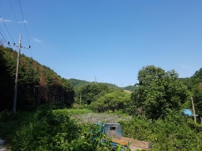 강원특별자치도 춘천시 남면 추곡리 1 임야 경매 사진 33