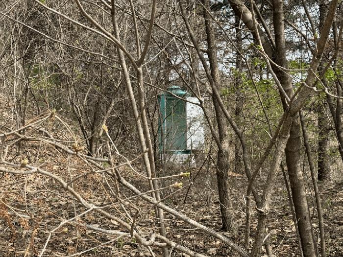 강원특별자치도 춘천시 남면 추곡리 1 임야 경매 사진 4