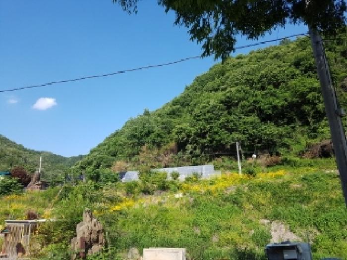 강원특별자치도 춘천시 남산면 수동리 산49 임야 경매 사진 11