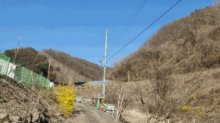 강원특별자치도 춘천시 남산면 수동리 산57 임야 경매 사진 5