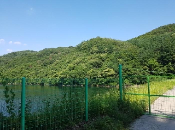 강원특별자치도 춘천시 남산면 수동리 산57 임야 경매 사진 7