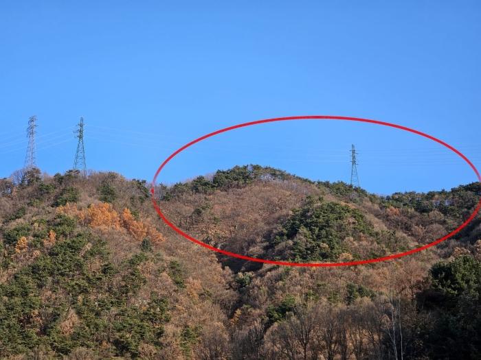 충청북도 충주시 호암동 산24-3 임야 경매 사진 1