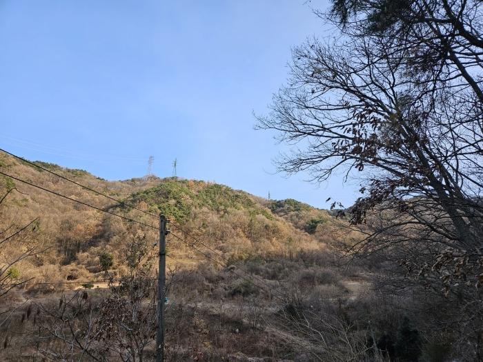 충청북도 충주시 호암동 산24-3 임야 경매 사진 2