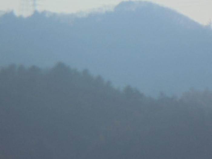 충청북도 충주시 호암동 산24-3 임야 경매 사진 3