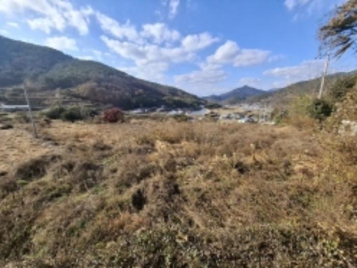 경상남도 남해군 남면 죽전리 563-1 전 경매 사진 1