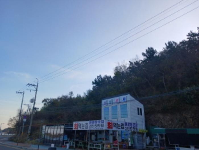 전북특별자치도 군산시 옥도면 선유도리 산37 임야 경매 사진 28
