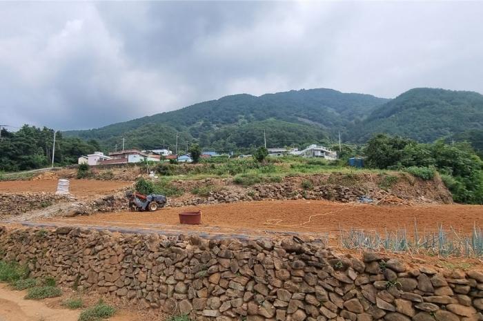경상남도 남해군 서면 작장리 산124 임야 경매 사진 1