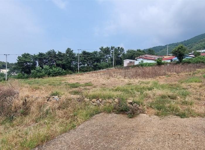 경상남도 남해군 서면 작장리 산124 임야 경매 사진 3