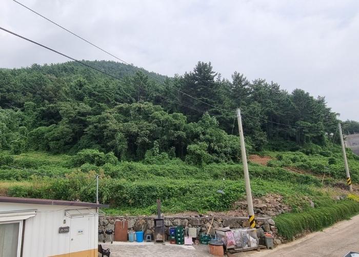 경상남도 남해군 서면 작장리 산124 임야 경매 사진 6